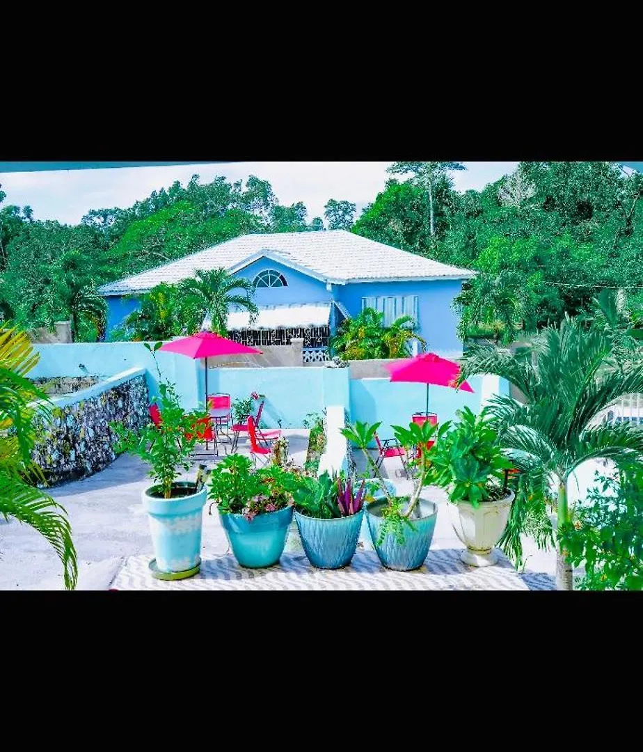 Coral Cove Cottage Negril Holiday home